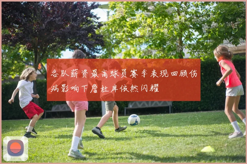 各队薪资最高球员赛季表现回顾伤病影响下詹杜库依然闪耀