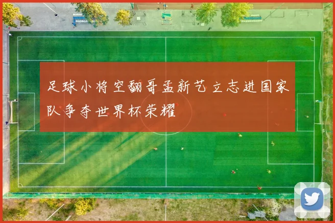 足球小将空翻哥孟新艺立志进国家队争夺世界杯荣耀